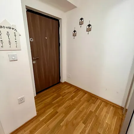 Ana Rose Lux - Stylish City Apartment With Private Parking Apartment Skopje